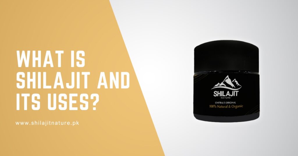 What is Shilajit and Its Uses